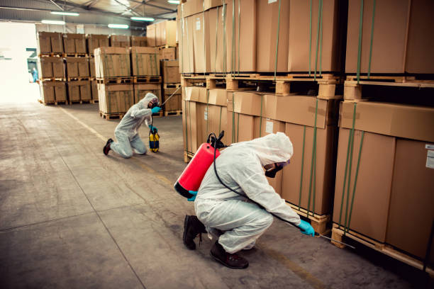 Best Pest Prevention Services  in Lexington, NE