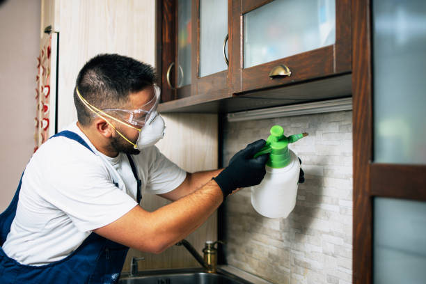 Best Emergency Pest Control  in Lexington, NE