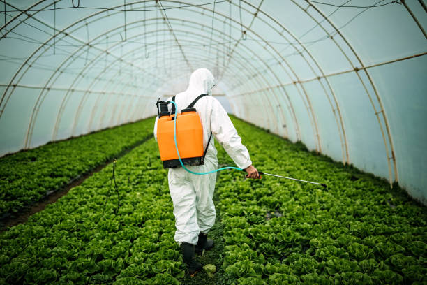 Best Commercial Pest Control Services  in Lexington, NE
