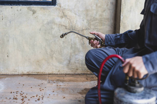 Best Flea Control Services  in Lexington, NE