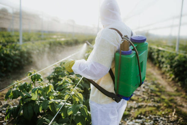 Best Insect Control  in Lexington, NE